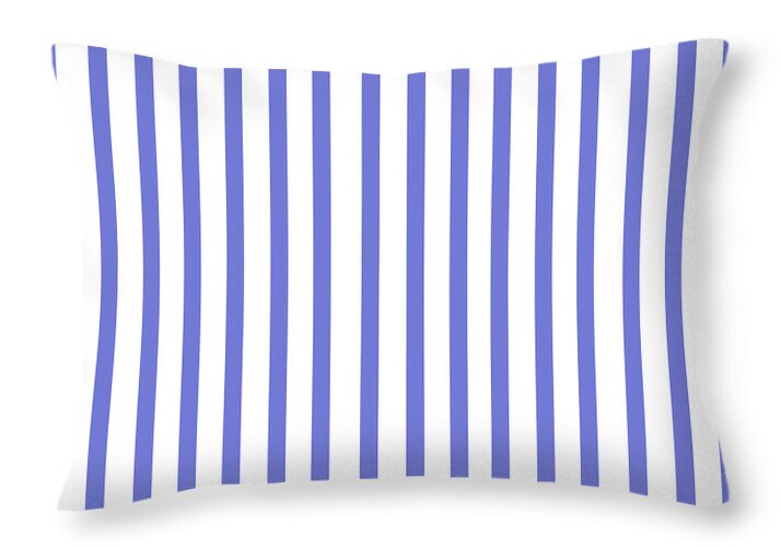 Blue Porcelain Stripe - Throw Pillow