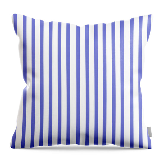 Blue Porcelain Stripe - Throw Pillow